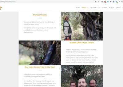 Project name : myrolion.gr - Myrolion's Olive Groves /Myrolion! Greek Organic Extra Virgin Cold-Pressed Olive Oil