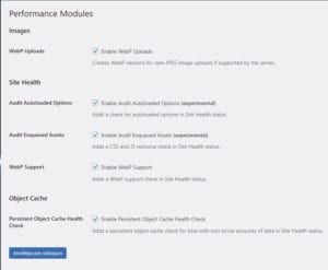 performance-lab-wordpress-plugin-settings