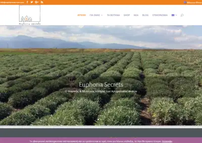 Project name : euphoriasecrets.com - eShop & newsletter