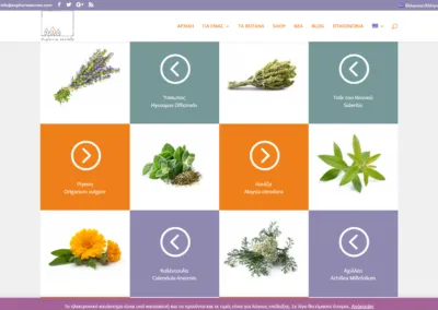 Project name : euphoriasecrets.com - Home page