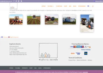 Project name : euphoriasecrets.com - about us page